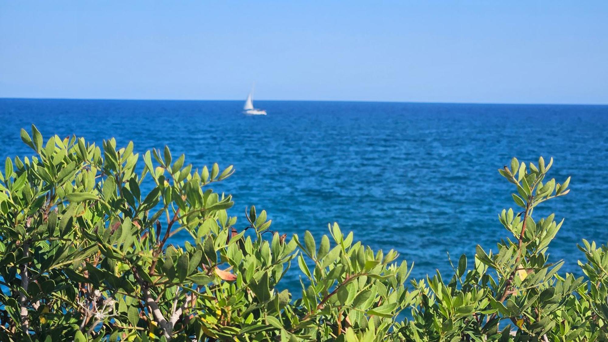 Royal Oropesa Lägenhet Oropesa del Mar Exteriör bild