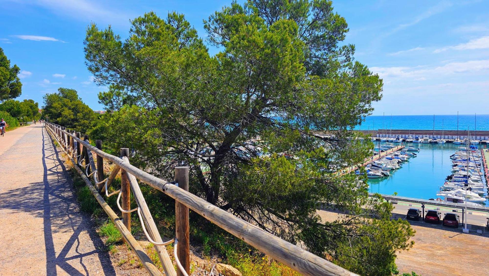 Royal Oropesa Lägenhet Oropesa del Mar Exteriör bild