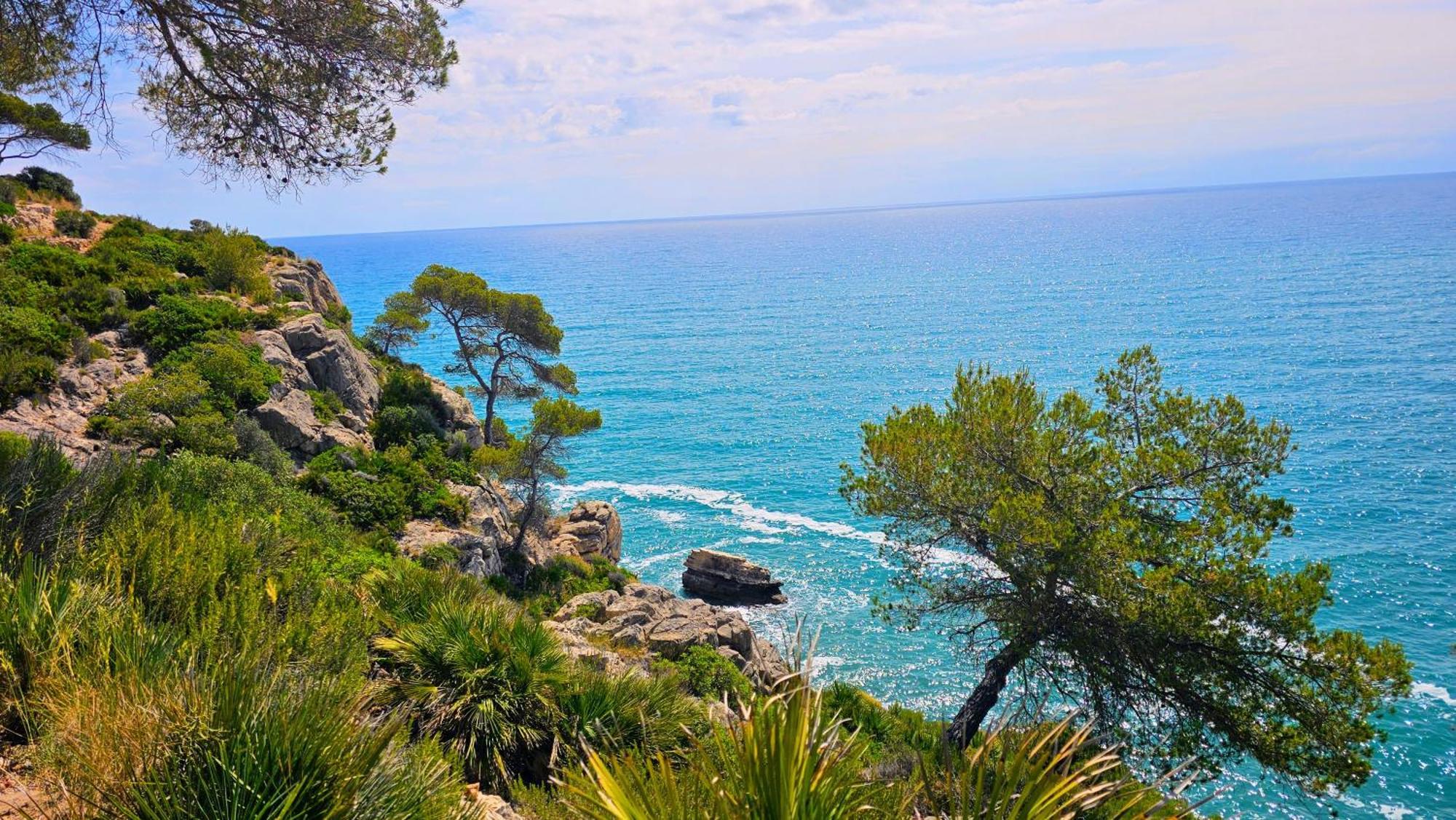 Royal Oropesa Lägenhet Oropesa del Mar Exteriör bild