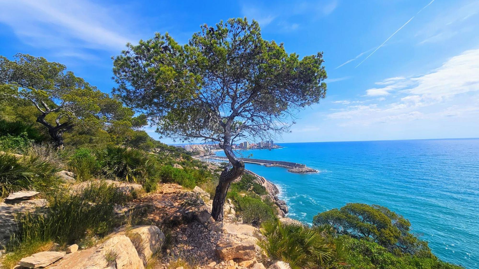Royal Oropesa Lägenhet Oropesa del Mar Exteriör bild